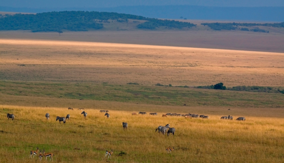Which countries offer the best African Safari?