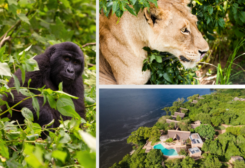 8 Days Uganda Flying Safari