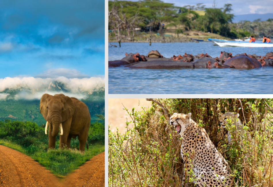 8 Days Best of Kenya Safari