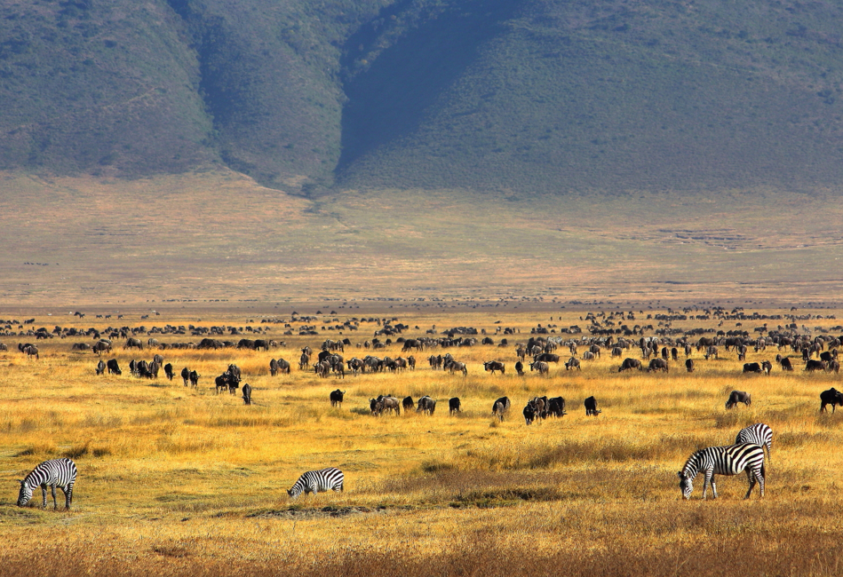 Top 10 Must-Visit Safari Destinations in Africa for 2025