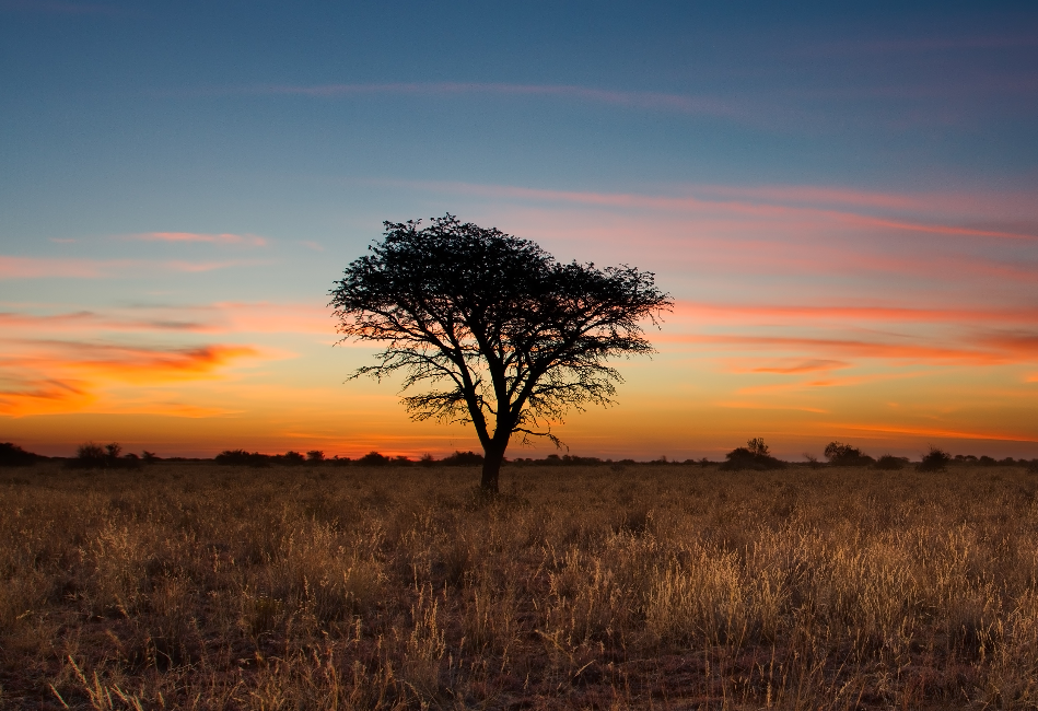 Kenya's and it's hidden Gems