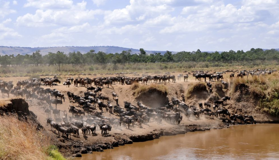 Maasai Mara National Reserve