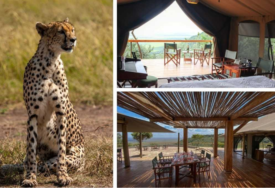 3 Days Masai Mara Safari with stay in the Reserve at Mara Elatia Camp