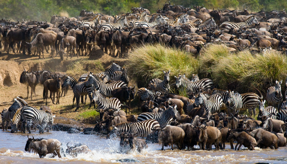 Masai Mara National Reserve