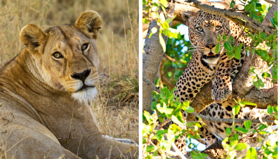 Serengeti National Park