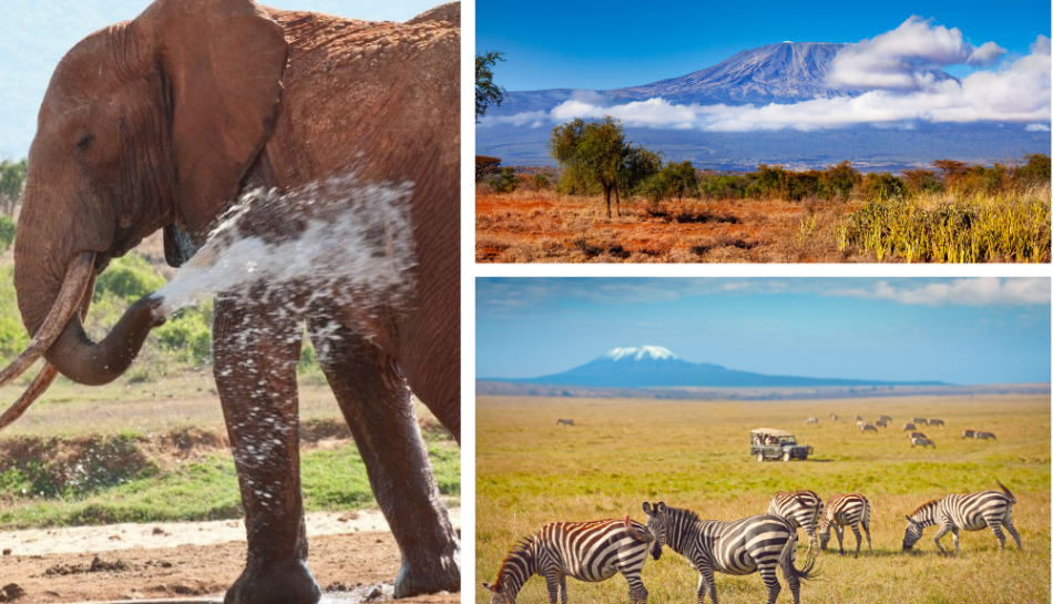 Amboseli National Park