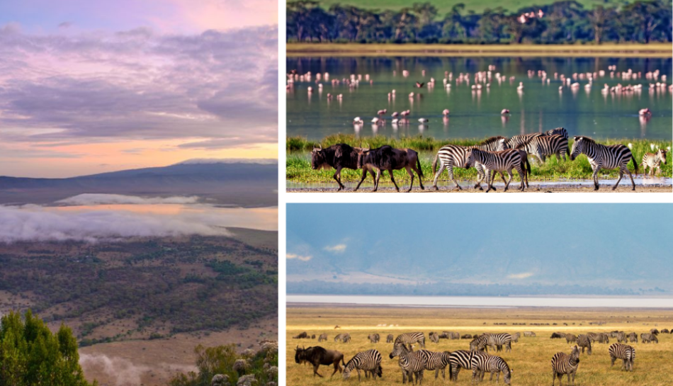 The Ngorongoro Crater