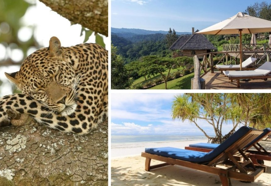 14 Days Tanzania and Zanzibar Luxury Safari Holiday