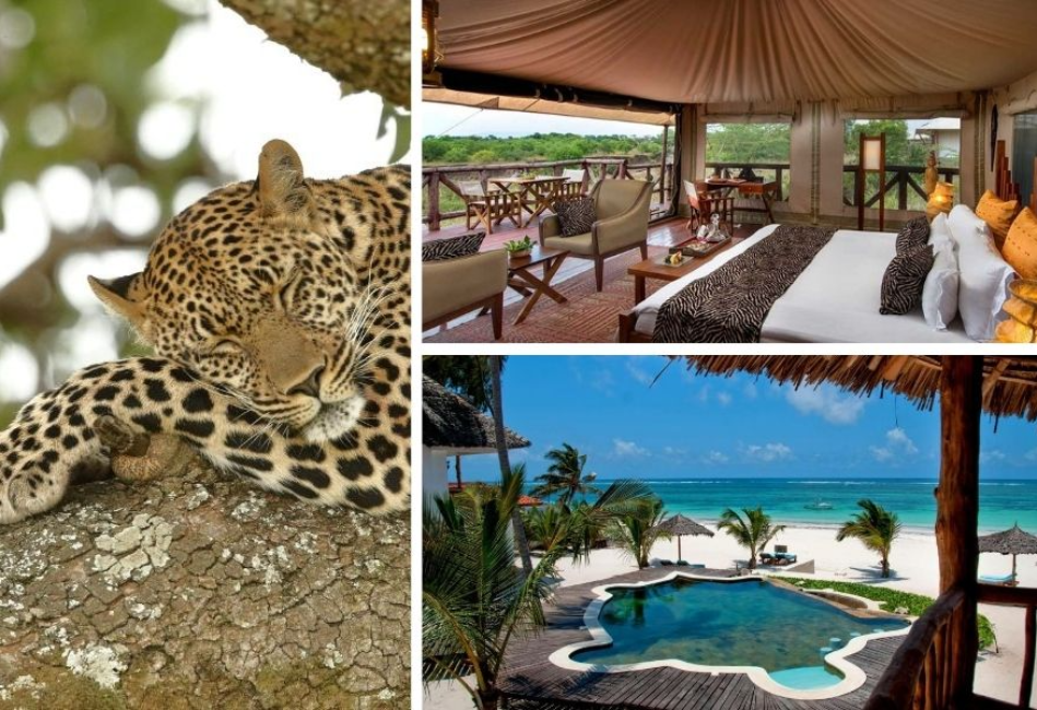 Masai Mara Luxury Safari and Beach - With Flights Masai Mara to Diani