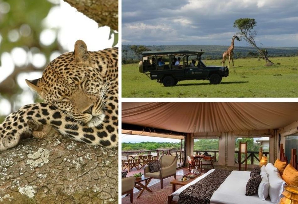 3 Days Masai Mara Fly In Luxury All Inclusive Safari