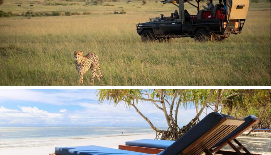 Planning the Perfect Safari & Beach Journey