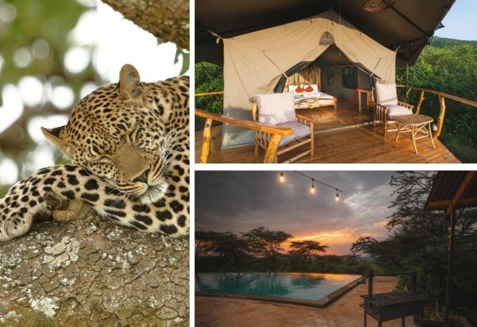 Maasai Mara Fly-In Safari with Stay at Mara Hilltop