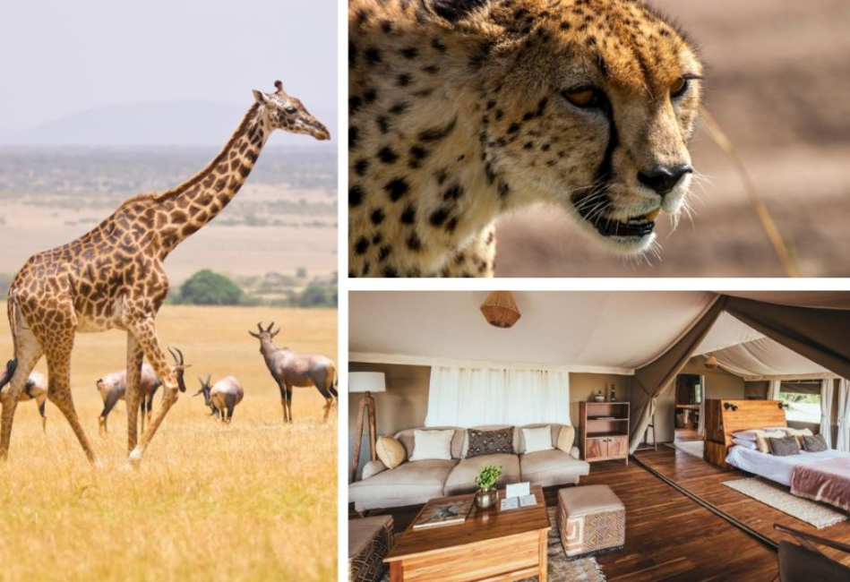 4 Days Masai Mara Luxury Safari