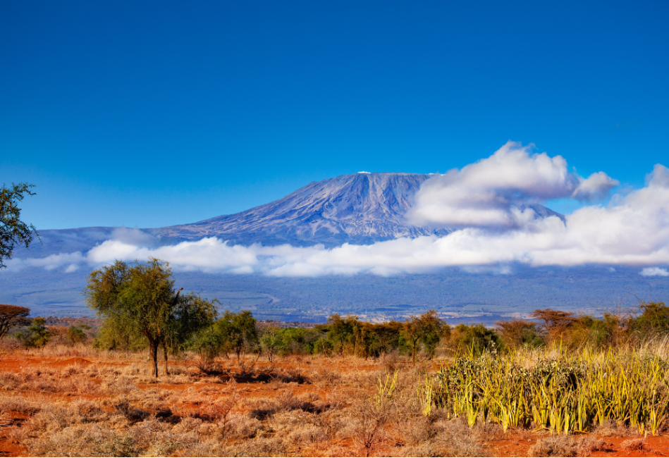 How Much does a Safari Cost in 2026-2027