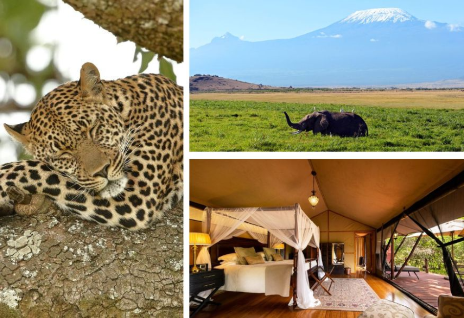 Luxury Small Group Safari Escorted From London UK