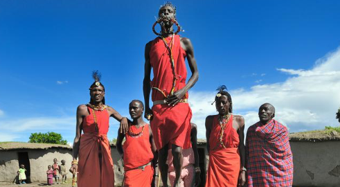 Route Wild Safaris