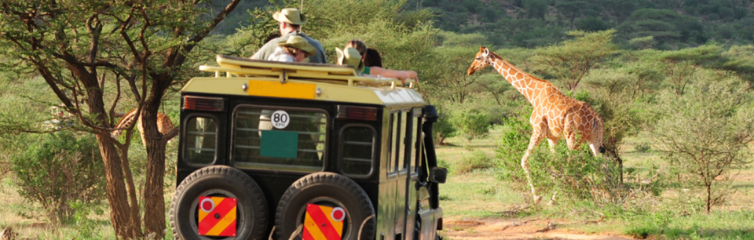 Kenya,  Ministry to cap visitors in safari parks