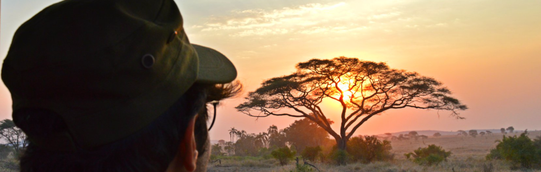 Excellent value,  limited vegan food in one of the hotels